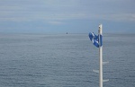 In the wind
