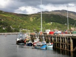 Fishing boats