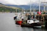 Fishing boats