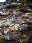 Rocks near Diabaig