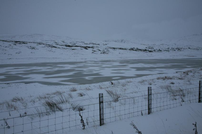 20091220-143708.jpg - 
