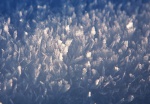 Snow crystals