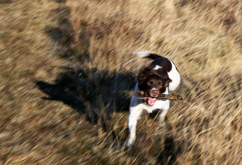 20100222-144042b.jpg - Max again