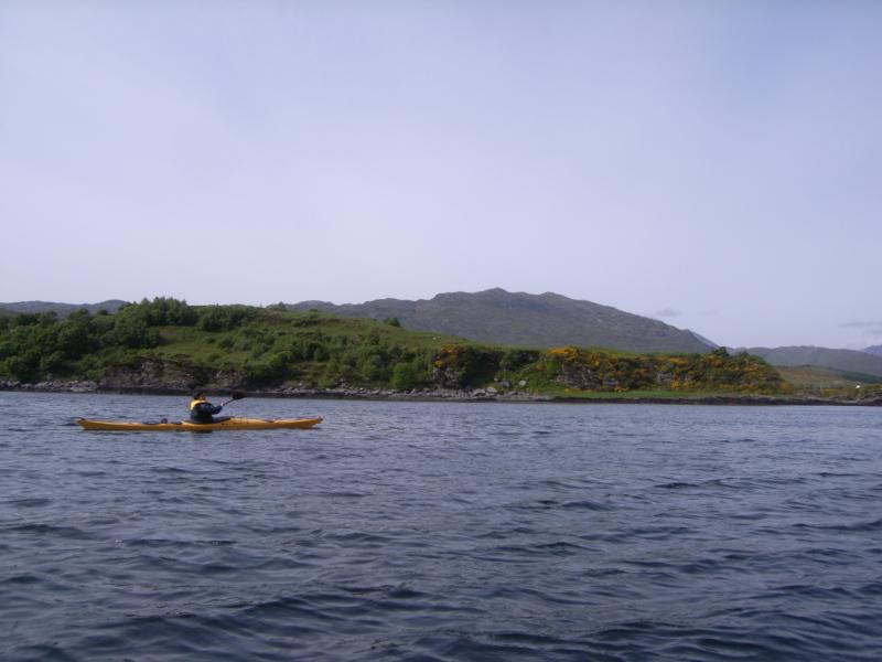 20100610-155815.jpg - 