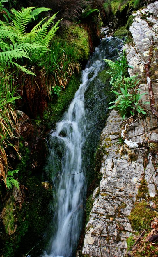 20100614-115958.jpg - Wee cascade