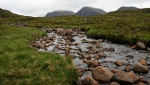 A glimpse of Flowerdale Forest