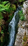 Wee cascade