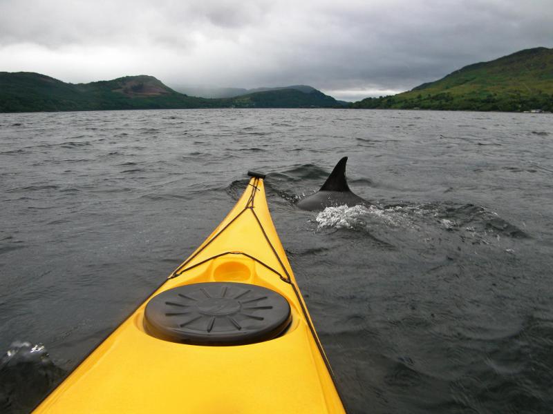 20100724-170526.jpg - Dolphin