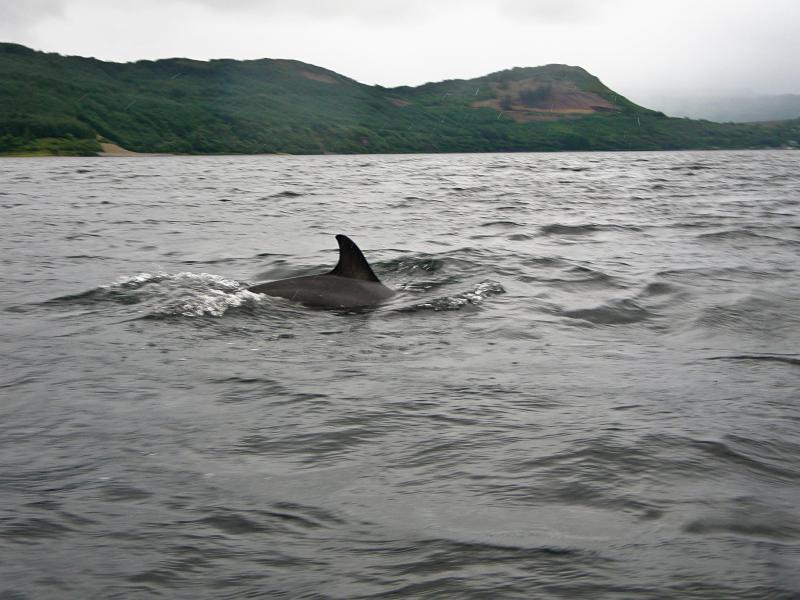 20100724-171005.jpg - 'Phin