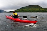 Rosa and dolphin racing