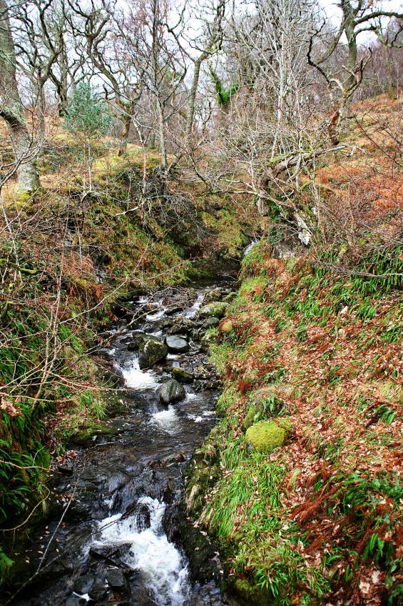 20101231-134031.jpg - Cascade
