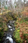 Cascade