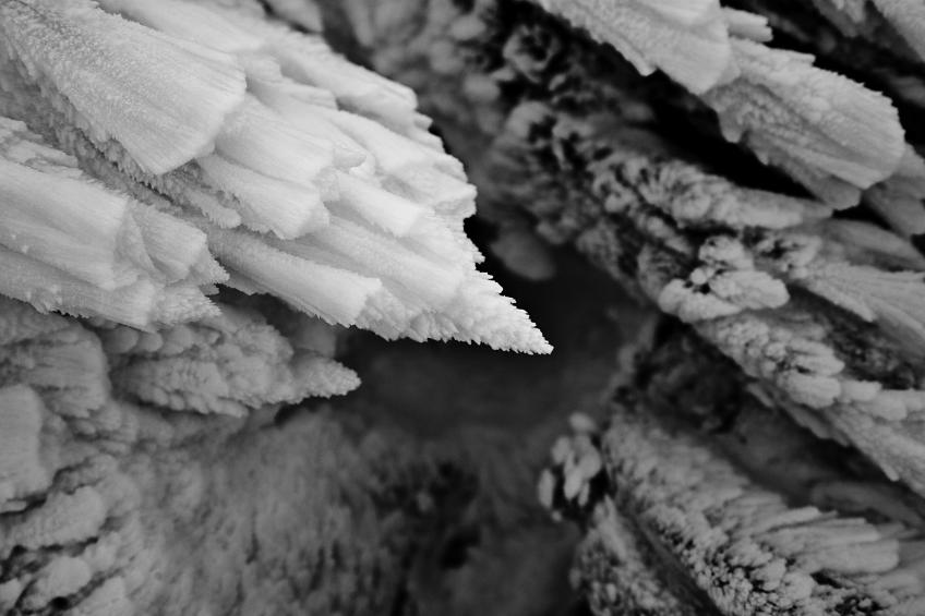 20110219-125012.jpg - Rime ice 'flowers'