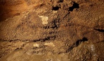 Mud formation on walls