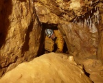 Bill crawling