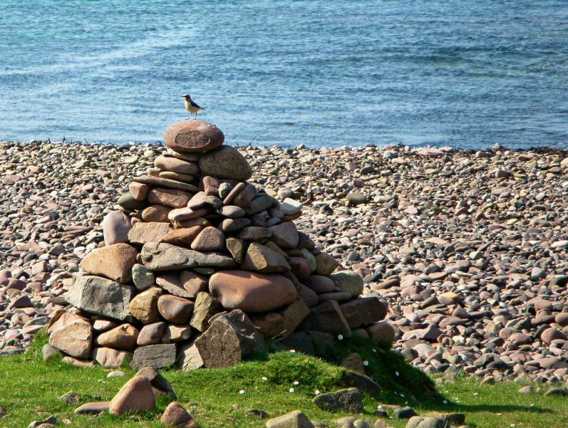 20110430-145502.jpg - Cairn with wheatear