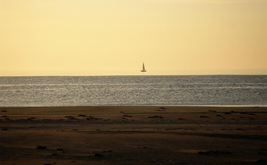 20110430-192307.jpg - Boat from the Netherlands?