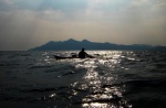 Annie afloat