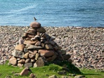 Cairn with wheatear