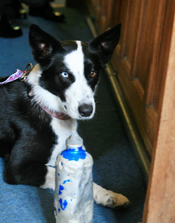 20110730-112618.jpg - 