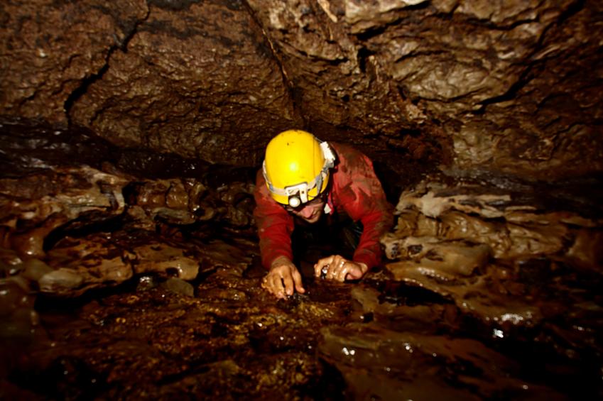 20110827-102211.jpg - Rich in Swiss Cheese Crawl