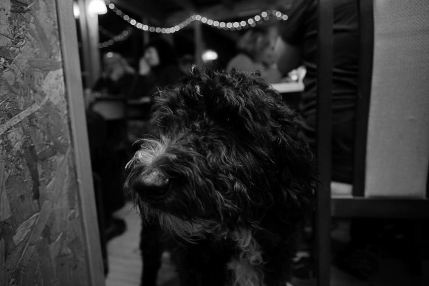 20121208-221118.jpg - 