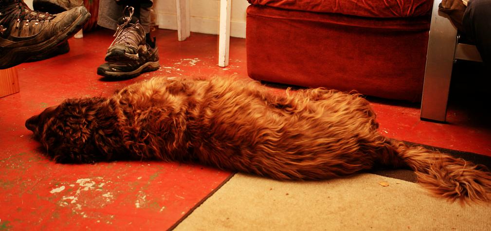 20121208-223347.jpg - 