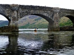 Lottie under the bridge