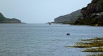 Watched by a seal