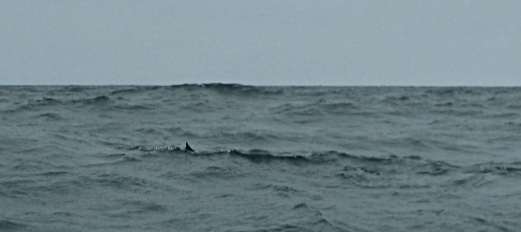 20130902-111501.jpg - 