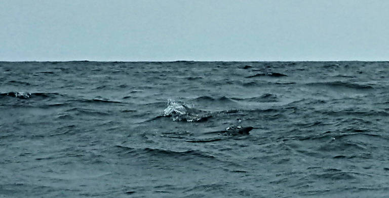 20130902-111506.jpg - 