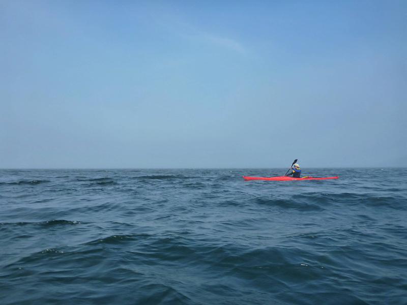 20140520-105739.jpg - Paddling in morning mist
