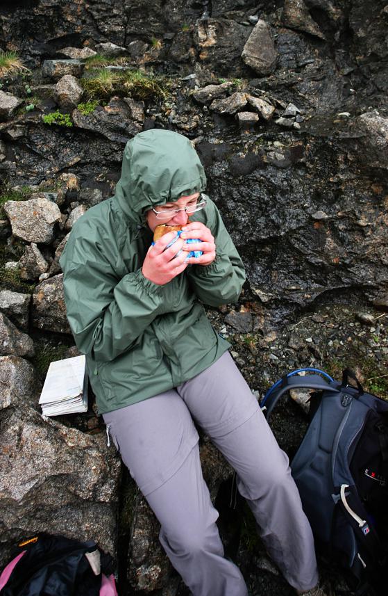 20140522-133644.jpg - Huge pork pie
