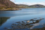 Seals