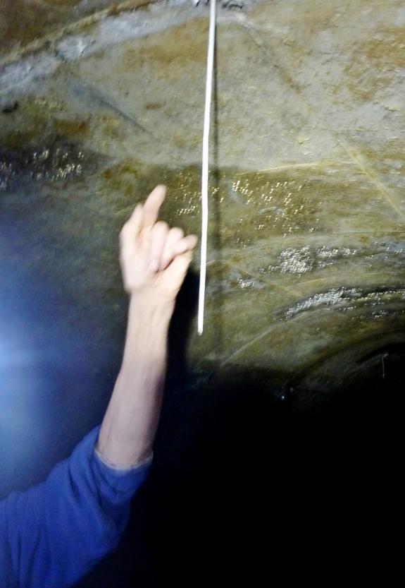 20140629-113546.jpg - Stalactite