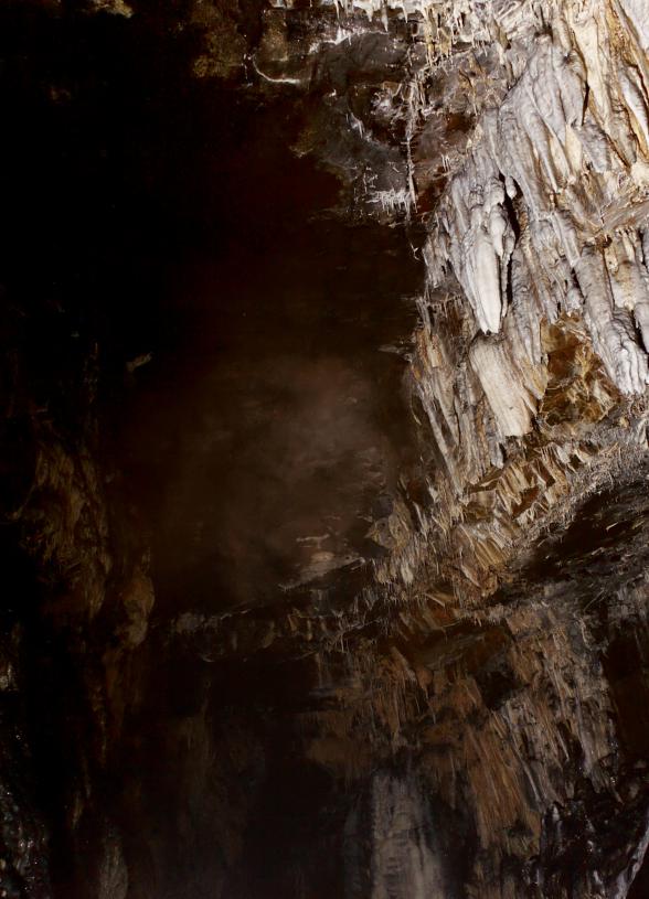 20140613-130432.jpg - Spar Cave - the roof