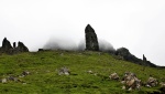 Standing proud before the mist