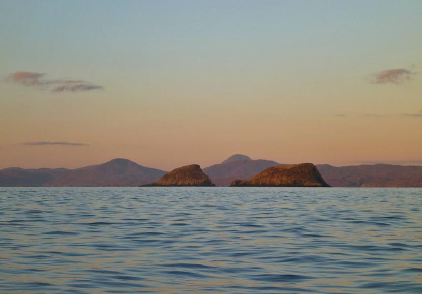 20141128-090022.jpg - Galtachan