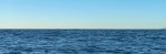 Distant lands
