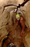 Crawling