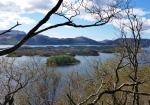 Islands through the trees
