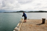 Steve attempts to catch fish