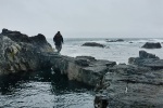 Stave by the sea