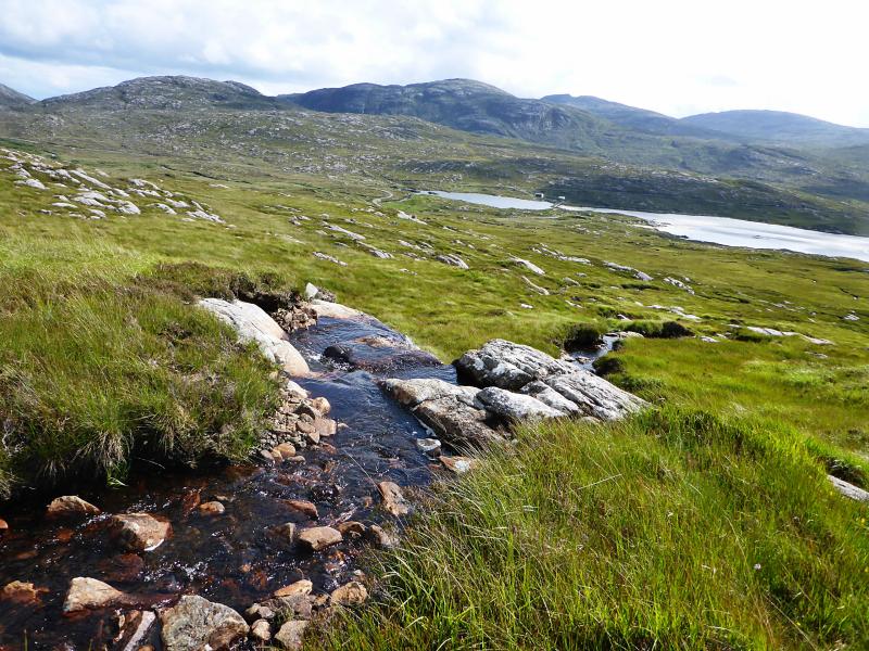 20150731-151525.jpg - Slopes of Ben Luskentyre