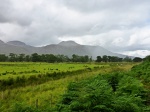 Near Kinlochewe
