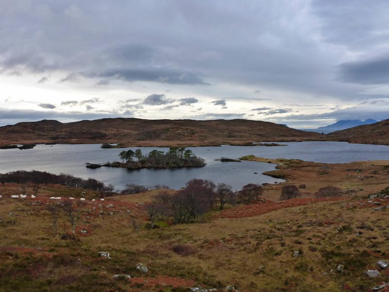 20160103-115346.jpg - Loch an Nostarie