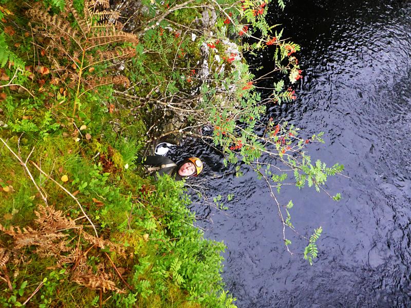 20160917-105432.jpg - 