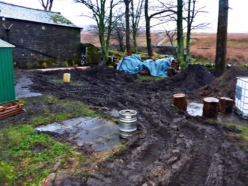 20170330-180053.jpg - The new enhanced back garden
