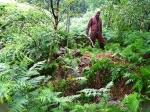 David wields the advanced gardening tool