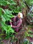 Clearing the entrance